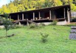 banana-lama-eco-villa-and-cottages-1600×800 (1)