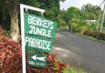 berkeys-jungle-paradise-1600×800
