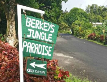 berkeys-jungle-paradise-1600×800