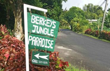 berkeys-jungle-paradise-1600×800