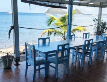 caribbean-arenas-club-1600×800