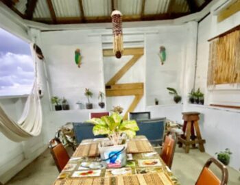 iguana-cafe-1600×800