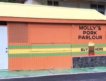 mollys-hangout-spot-1600×800