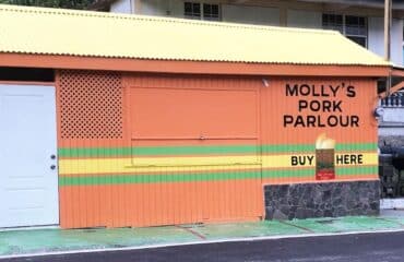 mollys-hangout-spot-1600×800