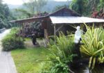 natty-tropical-valley-1600×800 (1)
