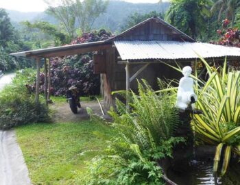 natty-tropical-valley-1600×800 (1)