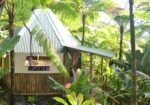 roots-jungle-retreat-1600×800