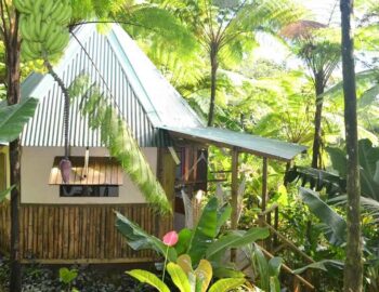roots-jungle-retreat-1600×800
