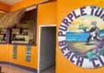 the-turtle-purple-1600×800