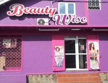 beauty-wise-1600×800