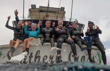 islandstyle-fishing-whale-watching-and-charters-featured