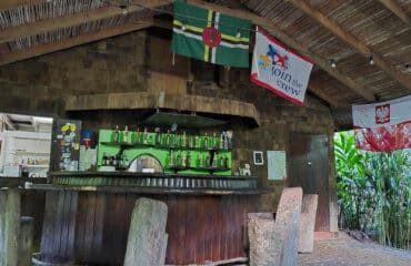 cobras-bush-bar-1600×800