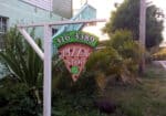 pizza-stop-1600×800