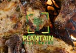 plantain-restaurant-1600×800