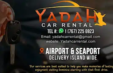 yc4
