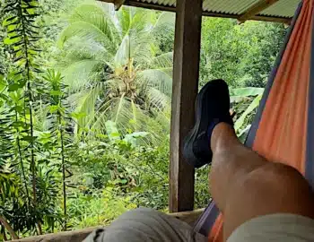 lg7