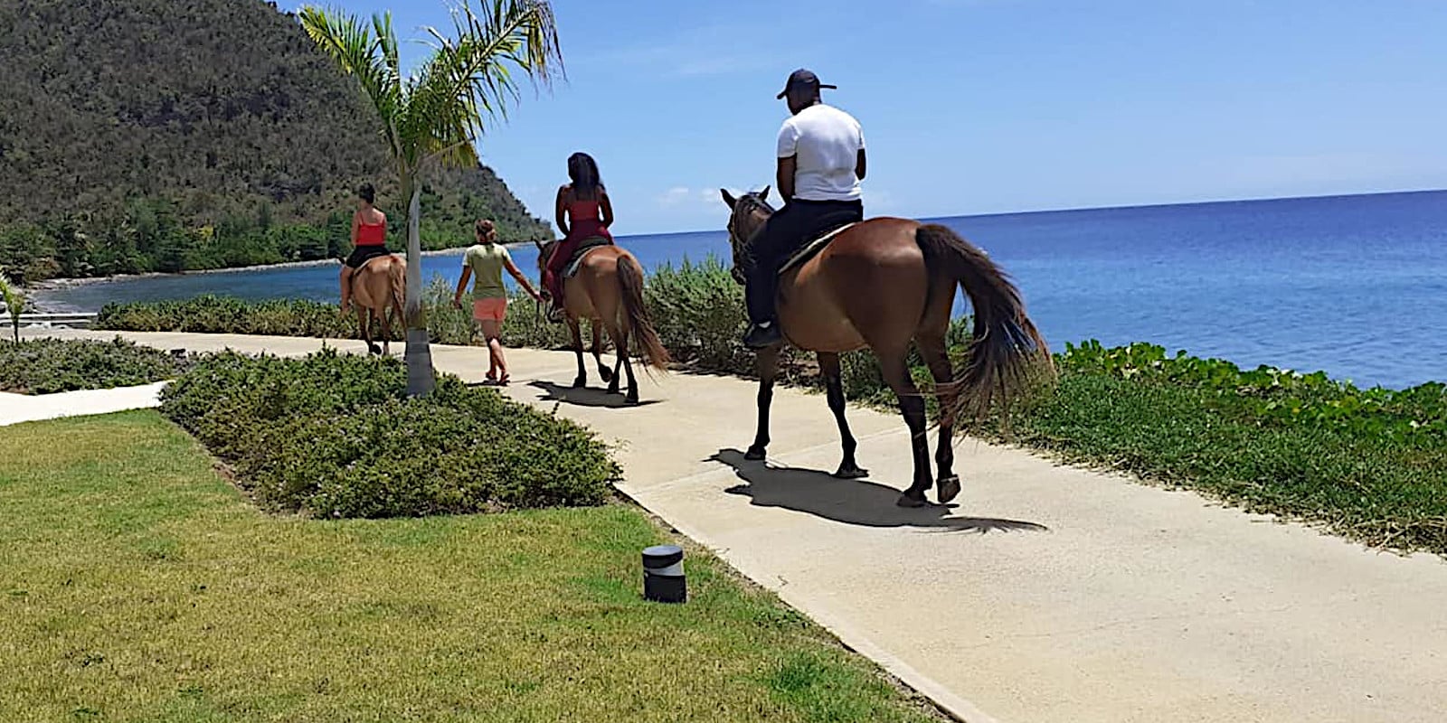 Tropical Riding Rainforest Riding β GuideDM
