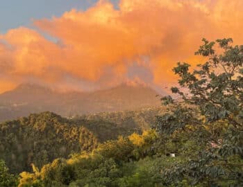 matthews-miracle-view-1600×800