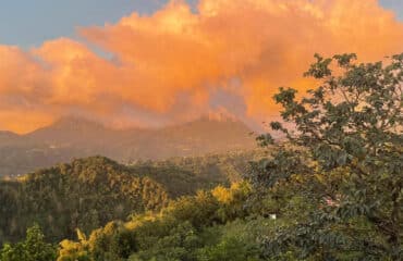 matthews-miracle-view-1600×800