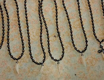 jn1