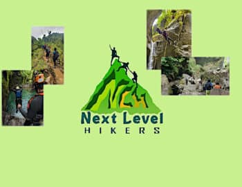 nl9.5