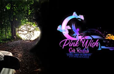 pw9.9