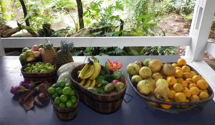 riverside-cafe-fruits-720×420-1